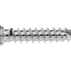 2MM LOCKING STAR DRIVE SCREW 10MM