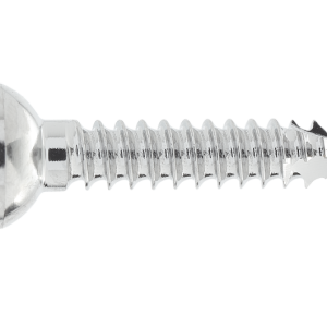 2MM CORTICAL SCREW 10MM